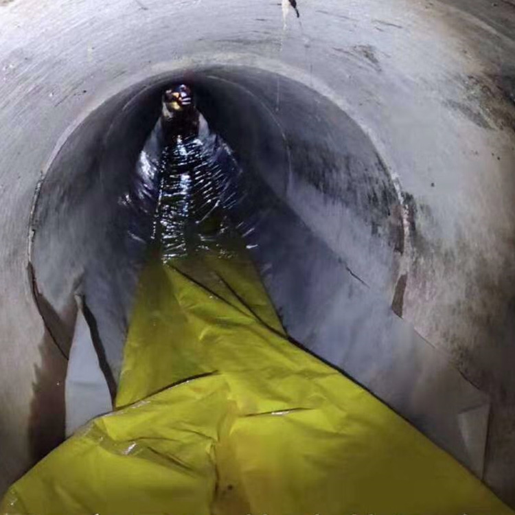 巴宜管道光固化修复